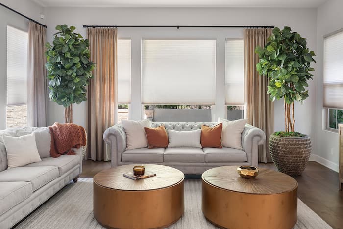 Living room with layered drapery and shades